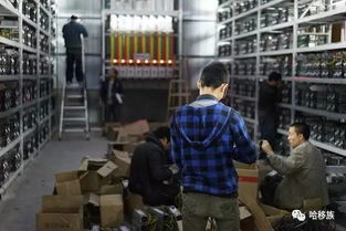 Modern cryptocurrency mining farm powered by renewable energy