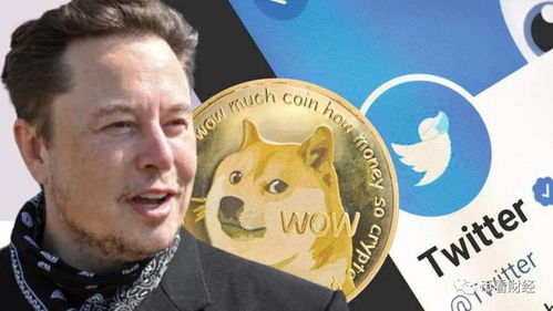 A playful visual representation of Dogecoin amidst a backdrop of digital coins